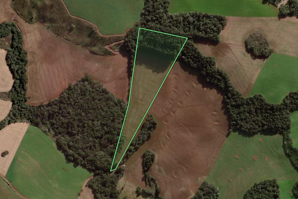 Imagem de satélite do imóvel rural em Pato Branco (PR), com o contorno declarado no CAR desenhado por cima.