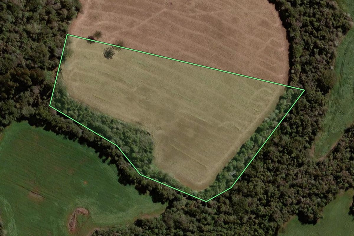 Imagem de satélite do imóvel rural em Pato Branco (PR), com o contorno declarado no CAR desenhado por cima.