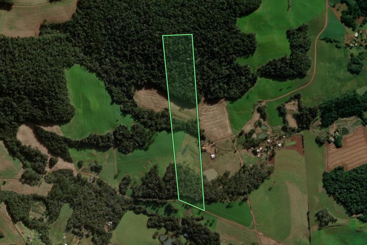 Imagem de satélite do imóvel rural em Pato Branco (PR), com o contorno declarado no CAR desenhado por cima.