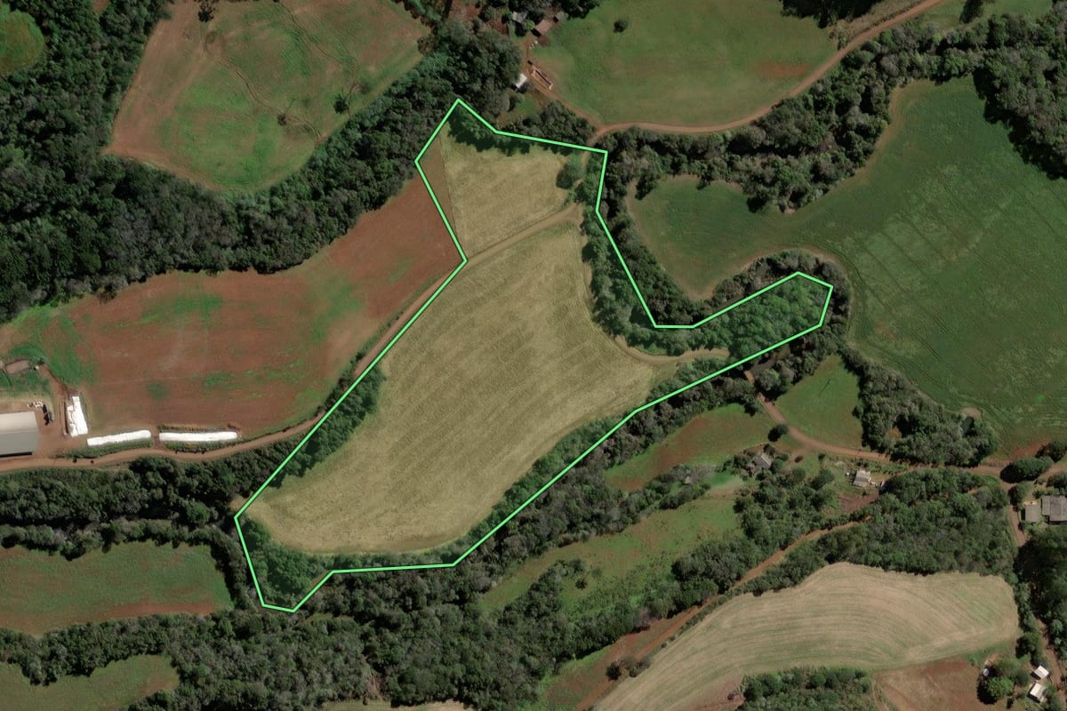 Imagem de satélite do imóvel rural em Pato Branco (PR), com o contorno declarado no CAR desenhado por cima.