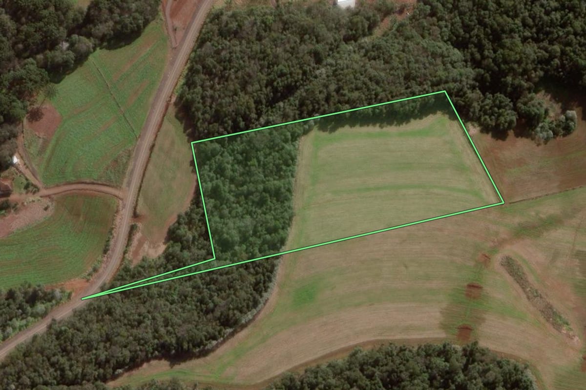 Imagem de satélite do imóvel rural em Pato Branco (PR), com o contorno declarado no CAR desenhado por cima.