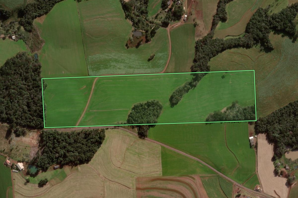 Imagem de satélite do imóvel rural em Pato Branco (PR), com o contorno declarado no CAR desenhado por cima.