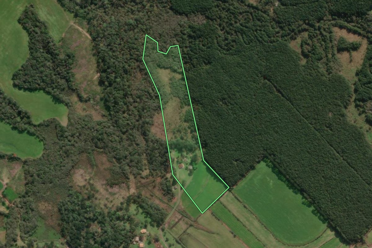 Imagem de satélite do imóvel rural em Paula Freitas (PR), com o contorno declarado no CAR desenhado por cima.