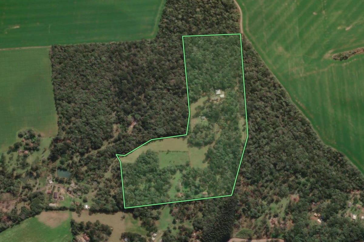 Imagem de satélite do imóvel rural em Paula Freitas (PR), com o contorno declarado no CAR desenhado por cima.