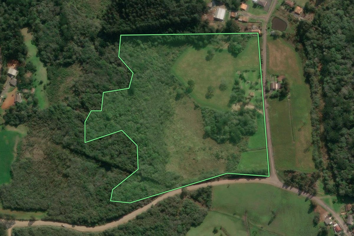 Imagem de satélite do imóvel rural em Paula Freitas (PR), com o contorno declarado no CAR desenhado por cima.