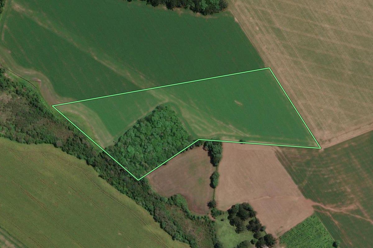 Imagem de satélite do imóvel rural em Paula Freitas (PR), com o contorno declarado no CAR desenhado por cima.