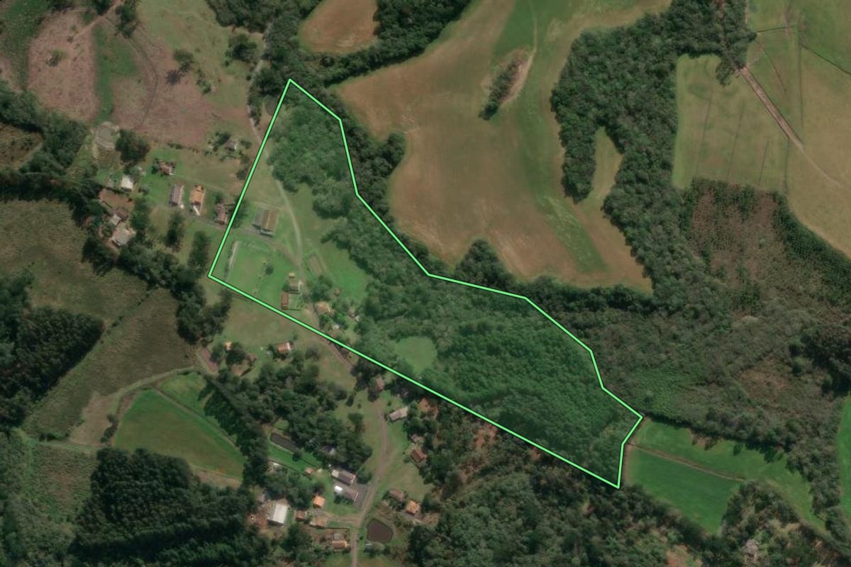 Imagem de satélite do imóvel rural em Paula Freitas (PR), com o contorno declarado no CAR desenhado por cima.