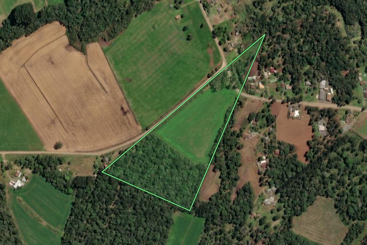 Imagem de satélite do imóvel rural em Paula Freitas (PR), com o contorno declarado no CAR desenhado por cima.