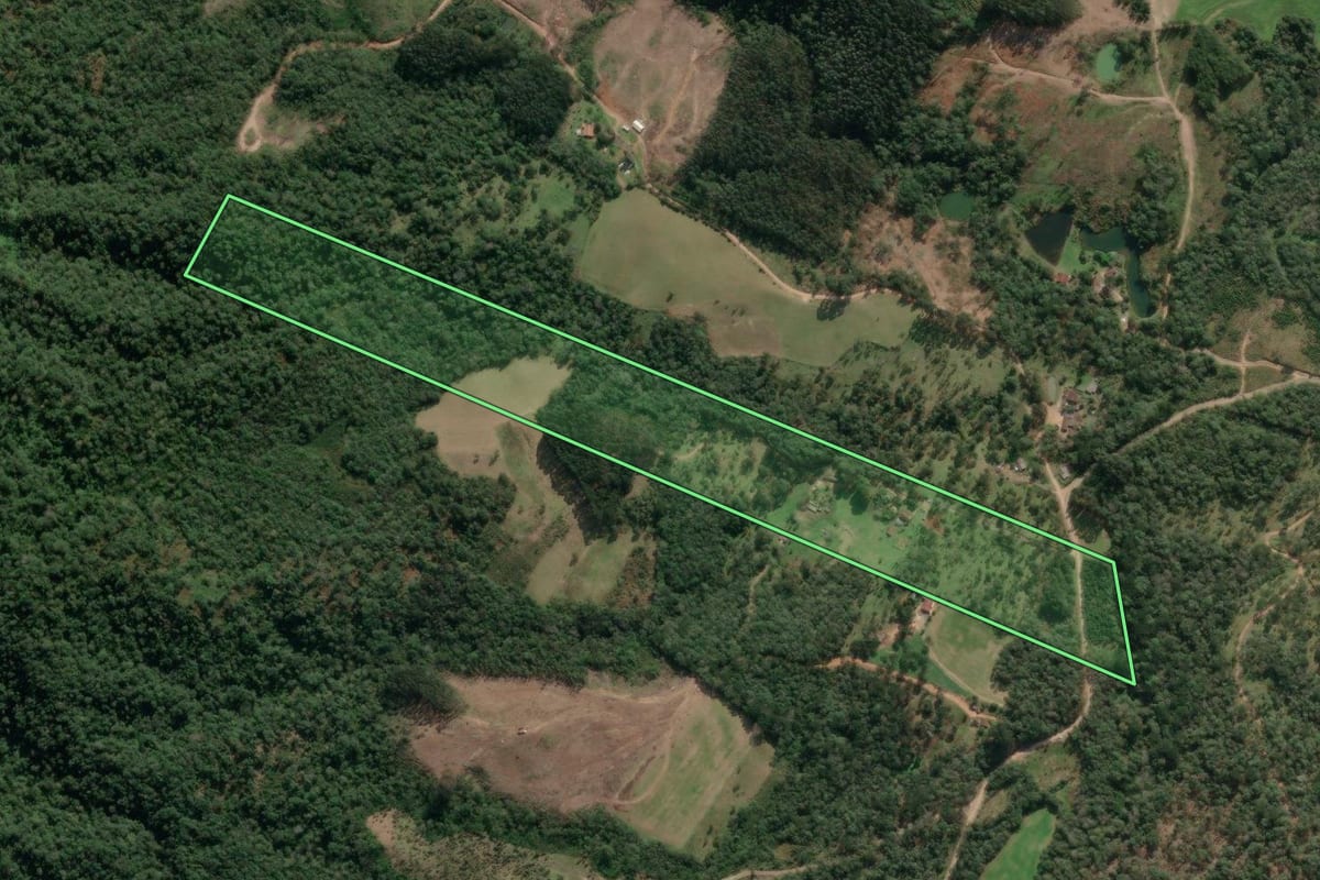 Imagem de satélite do imóvel rural em Paula Freitas (PR), com o contorno declarado no CAR desenhado por cima.