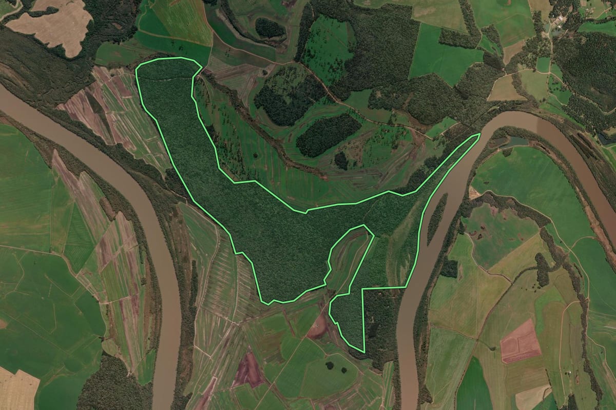 Imagem de satélite do imóvel rural em Paula Freitas (PR), com o contorno declarado no CAR desenhado por cima.