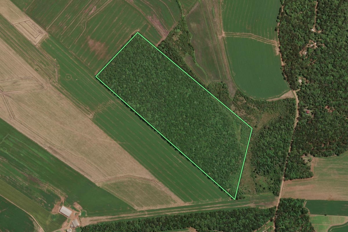 Imagem de satélite do imóvel rural em Paula Freitas (PR), com o contorno declarado no CAR desenhado por cima.
