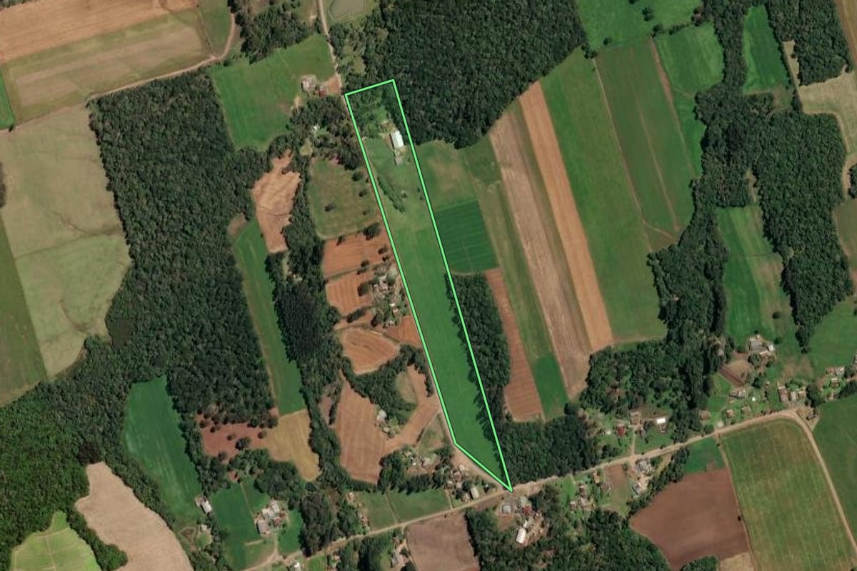 Imagem de satélite do imóvel rural em Paula Freitas (PR), com o contorno declarado no CAR desenhado por cima.