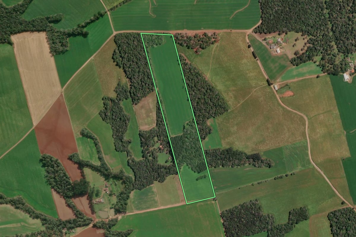 Imagem de satélite do imóvel rural em Paula Freitas (PR), com o contorno declarado no CAR desenhado por cima.
