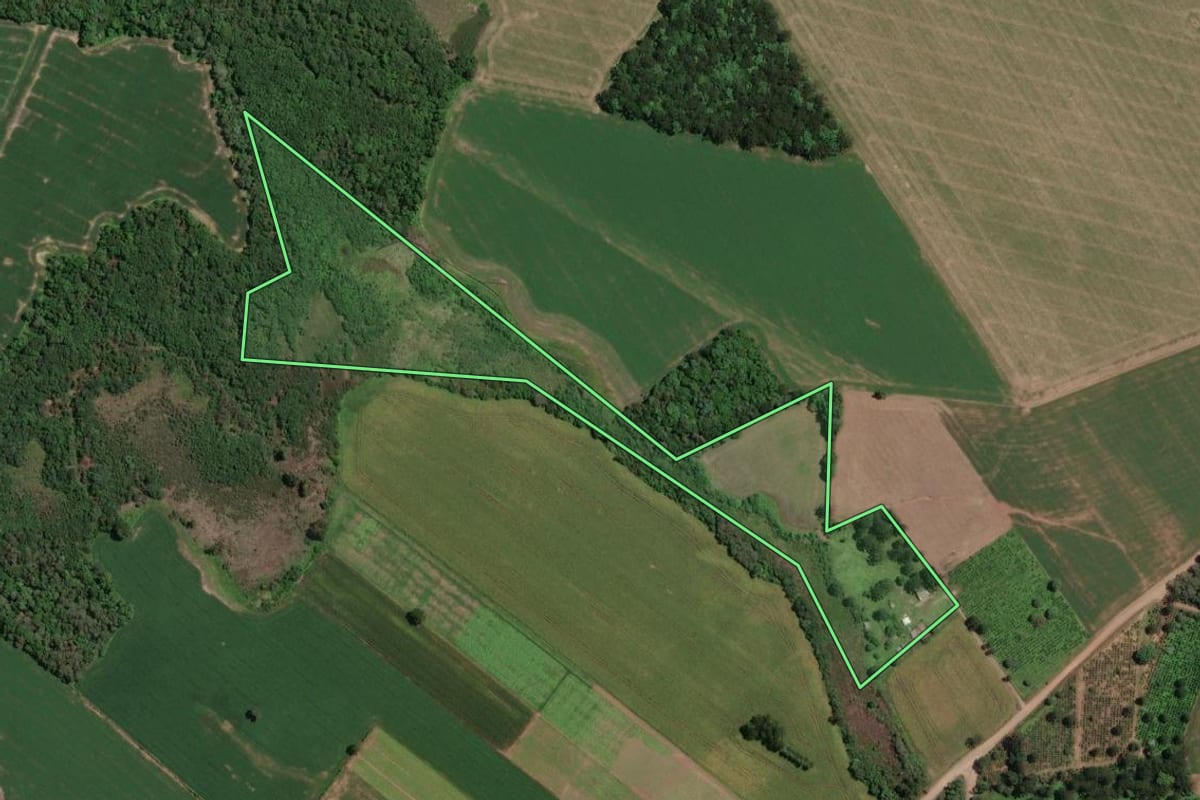 Imagem de satélite do imóvel rural em Paula Freitas (PR), com o contorno declarado no CAR desenhado por cima.