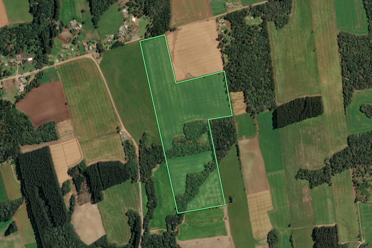 Imagem de satélite do imóvel rural em Paula Freitas (PR), com o contorno declarado no CAR desenhado por cima.