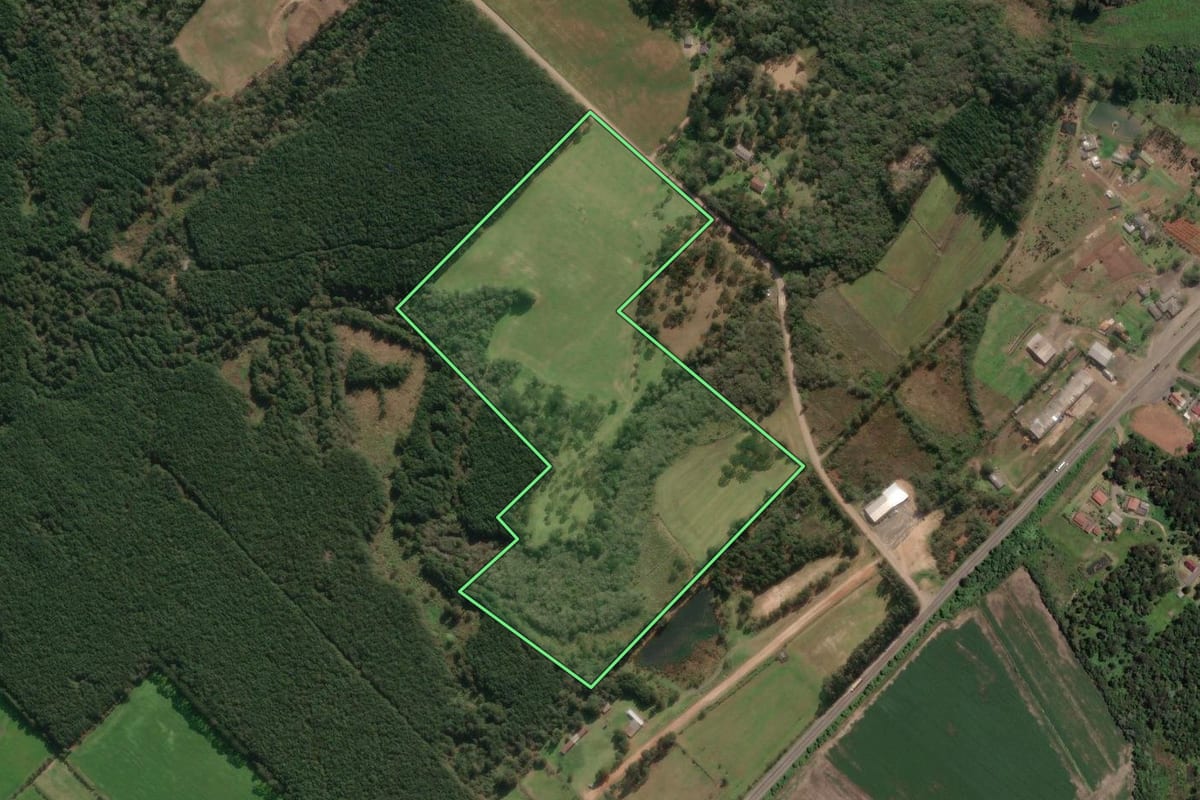Imagem de satélite do imóvel rural em Paula Freitas (PR), com o contorno declarado no CAR desenhado por cima.