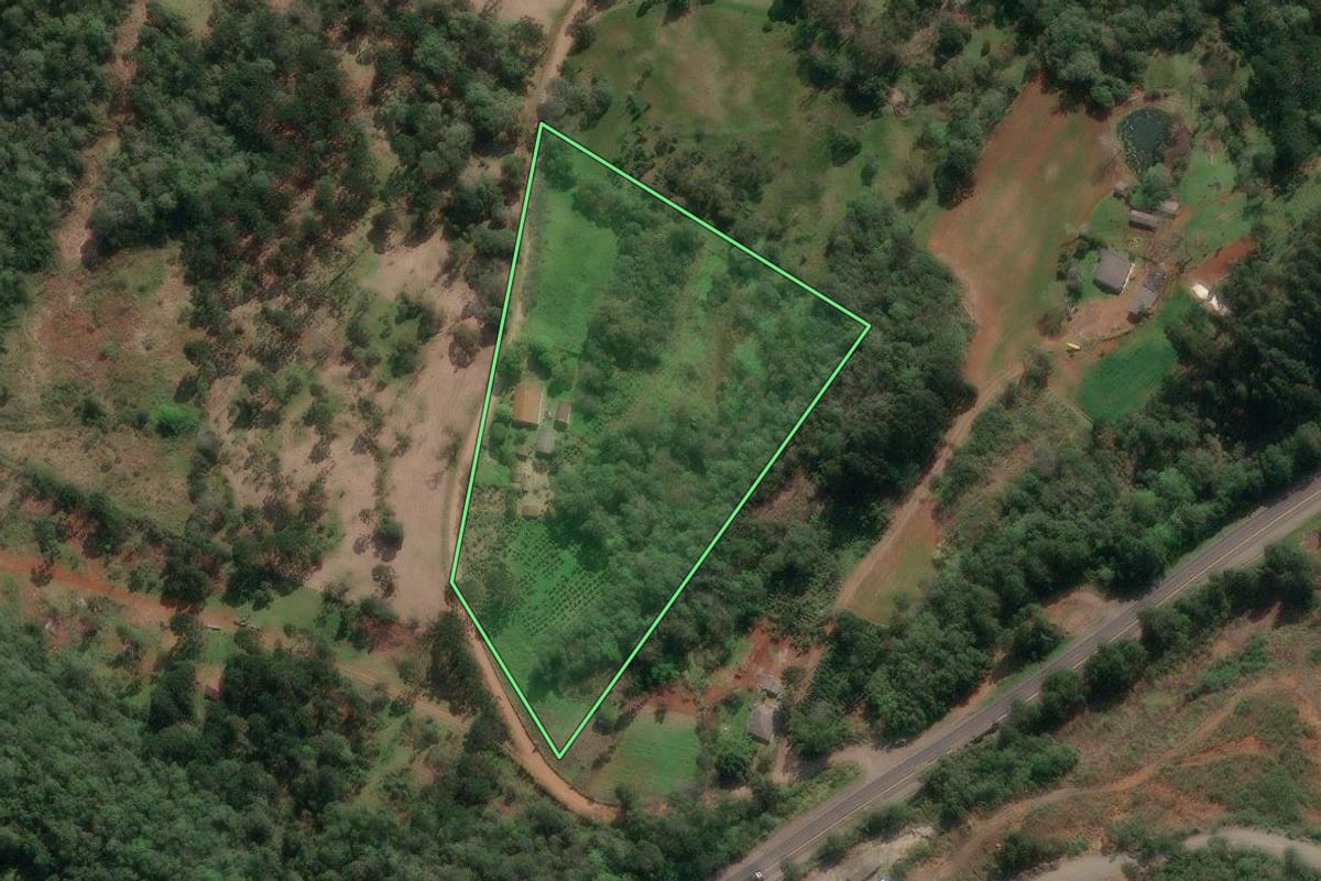 Imagem de satélite do imóvel rural em Paula Freitas (PR), com o contorno declarado no CAR desenhado por cima.