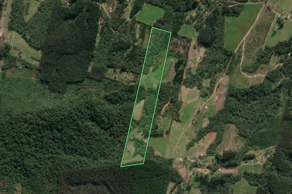 Imagem de satélite do imóvel rural em Paula Freitas (PR), com o contorno declarado no CAR desenhado por cima.
