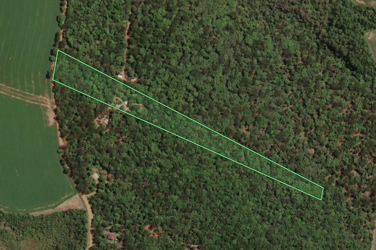 Imagem de satélite do imóvel rural em Paula Freitas (PR), com o contorno declarado no CAR desenhado por cima.