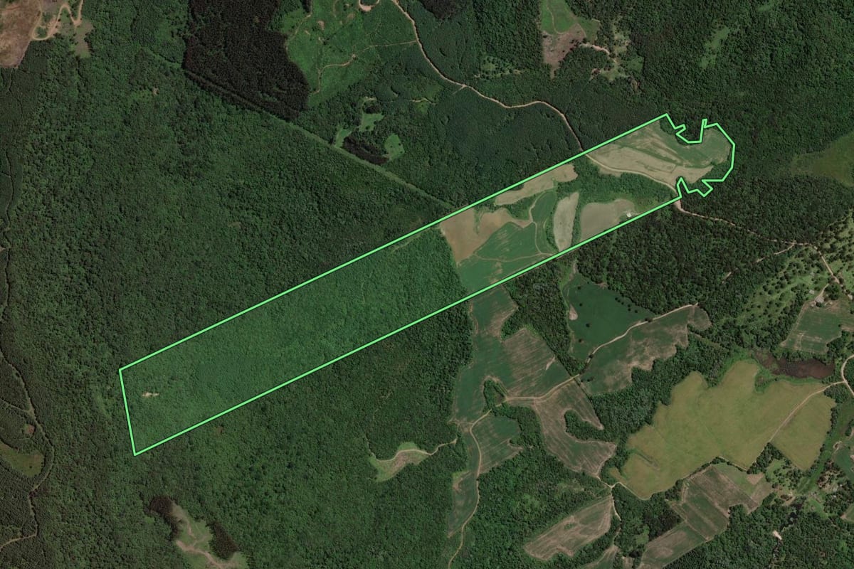 Imagem de satélite do imóvel rural em Paula Freitas (PR), com o contorno declarado no CAR desenhado por cima.