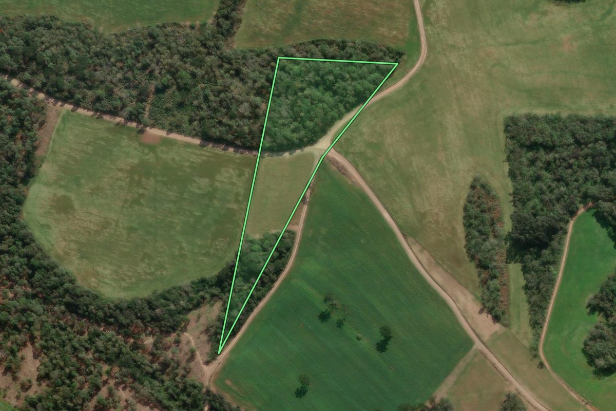 Imagem de satélite do imóvel rural em Paula Freitas (PR), com o contorno declarado no CAR desenhado por cima.