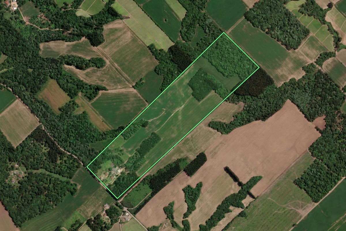 Imagem de satélite do imóvel rural em Paula Freitas (PR), com o contorno declarado no CAR desenhado por cima.