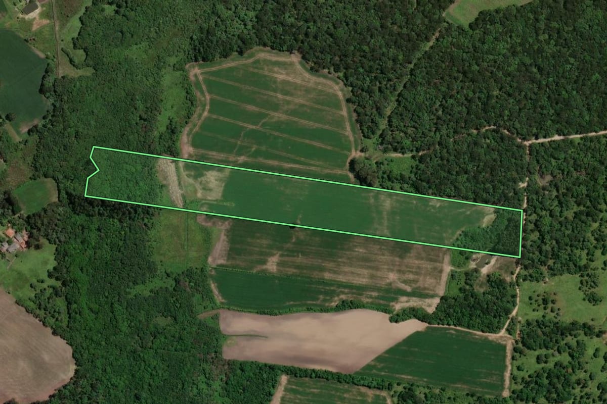 Imagem de satélite do imóvel rural em Paula Freitas (PR), com o contorno declarado no CAR desenhado por cima.
