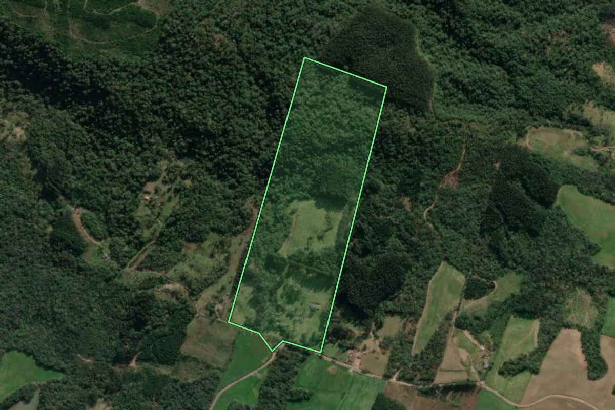 Imagem de satélite do imóvel rural em Paula Freitas (PR), com o contorno declarado no CAR desenhado por cima.