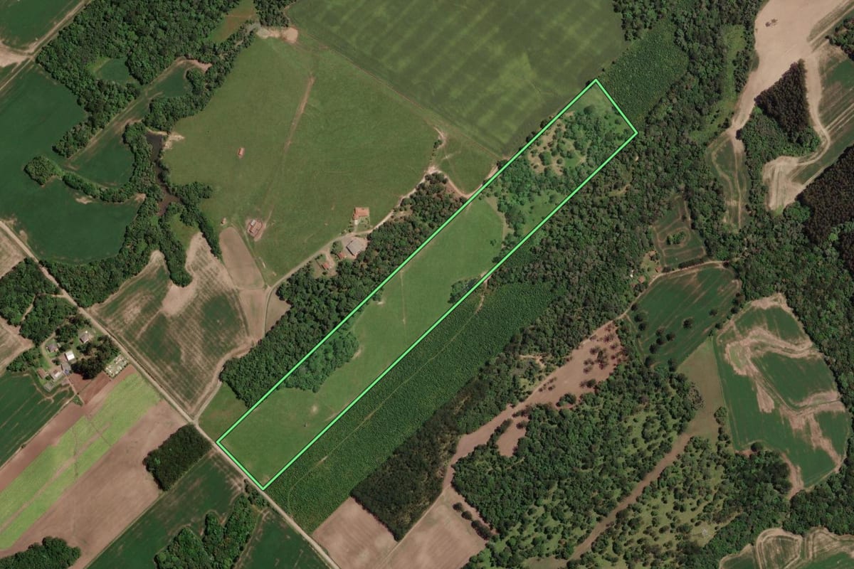 Imagem de satélite do imóvel rural em Paula Freitas (PR), com o contorno declarado no CAR desenhado por cima.