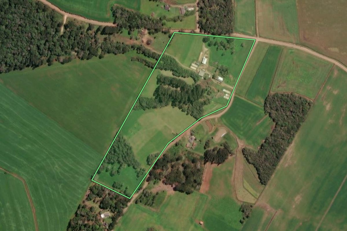 Imagem de satélite do imóvel rural em Paula Freitas (PR), com o contorno declarado no CAR desenhado por cima.