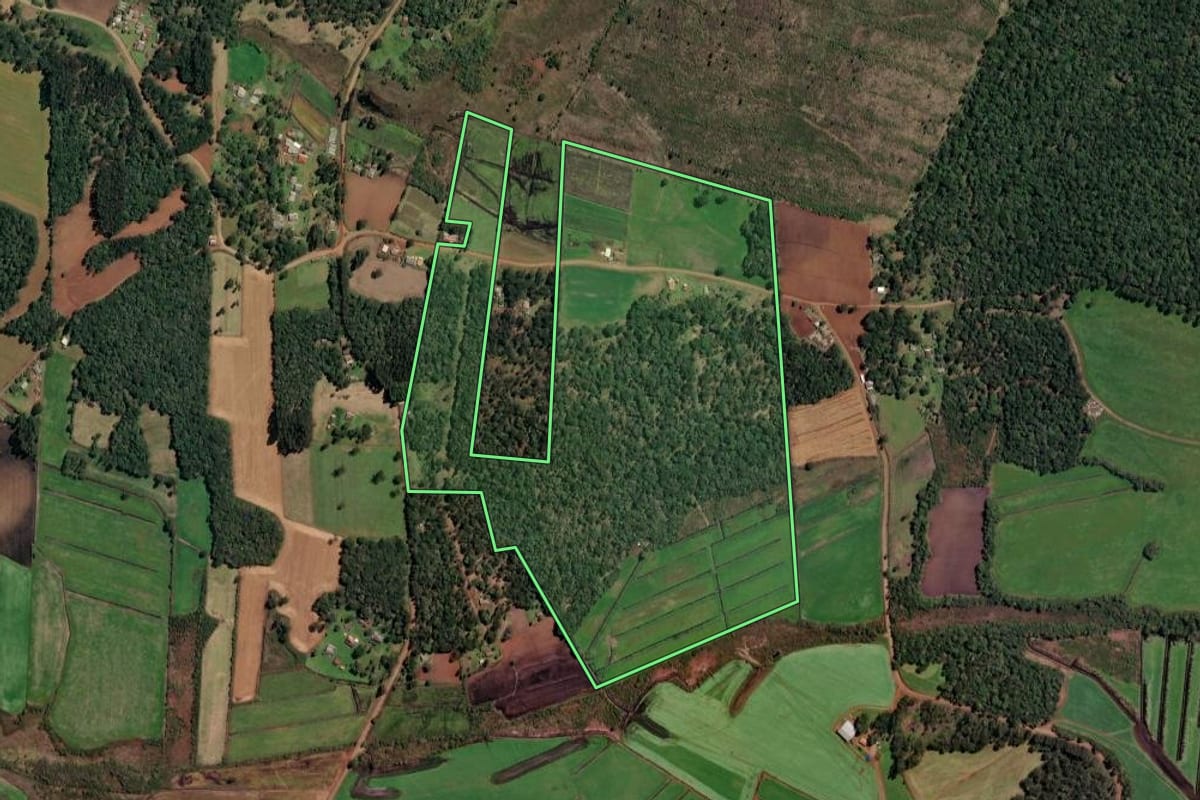 Imagem de satélite do imóvel rural em Paula Freitas (PR), com o contorno declarado no CAR desenhado por cima.