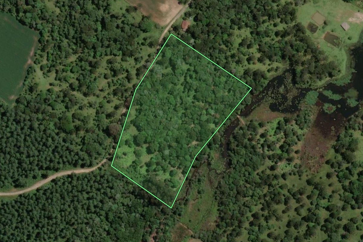 Imagem de satélite do imóvel rural em Paula Freitas (PR), com o contorno declarado no CAR desenhado por cima.
