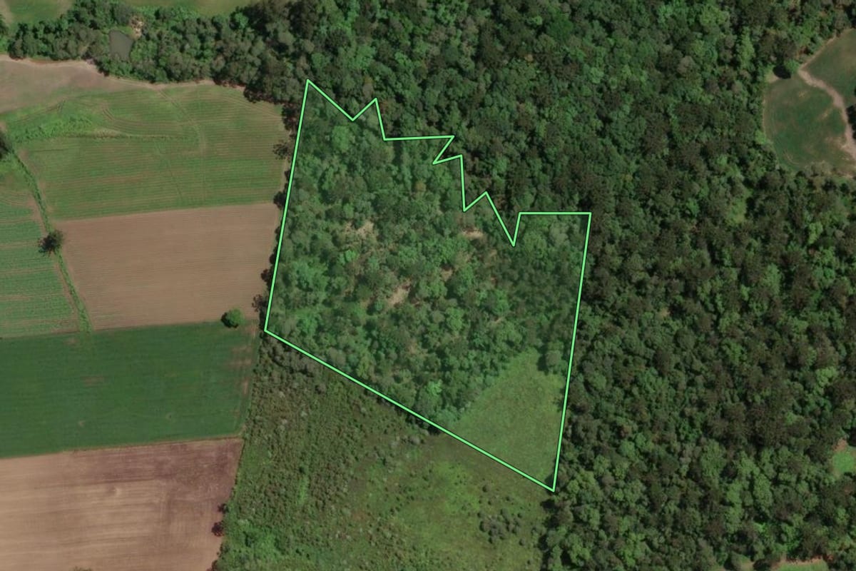 Imagem de satélite do imóvel rural em Paula Freitas (PR), com o contorno declarado no CAR desenhado por cima.
