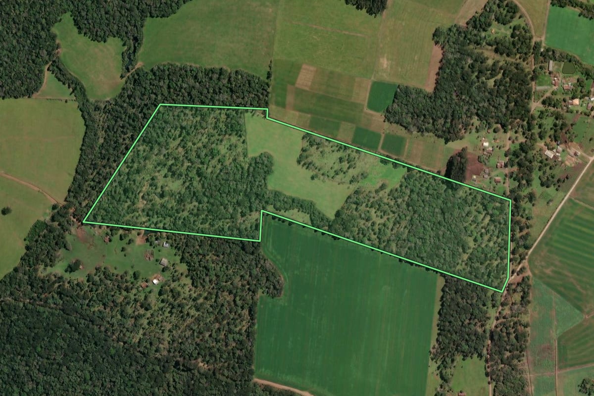 Imagem de satélite do imóvel rural em Paula Freitas (PR), com o contorno declarado no CAR desenhado por cima.