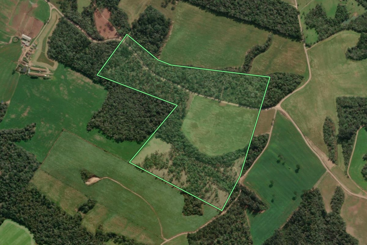 Imagem de satélite do imóvel rural em Paula Freitas (PR), com o contorno declarado no CAR desenhado por cima.