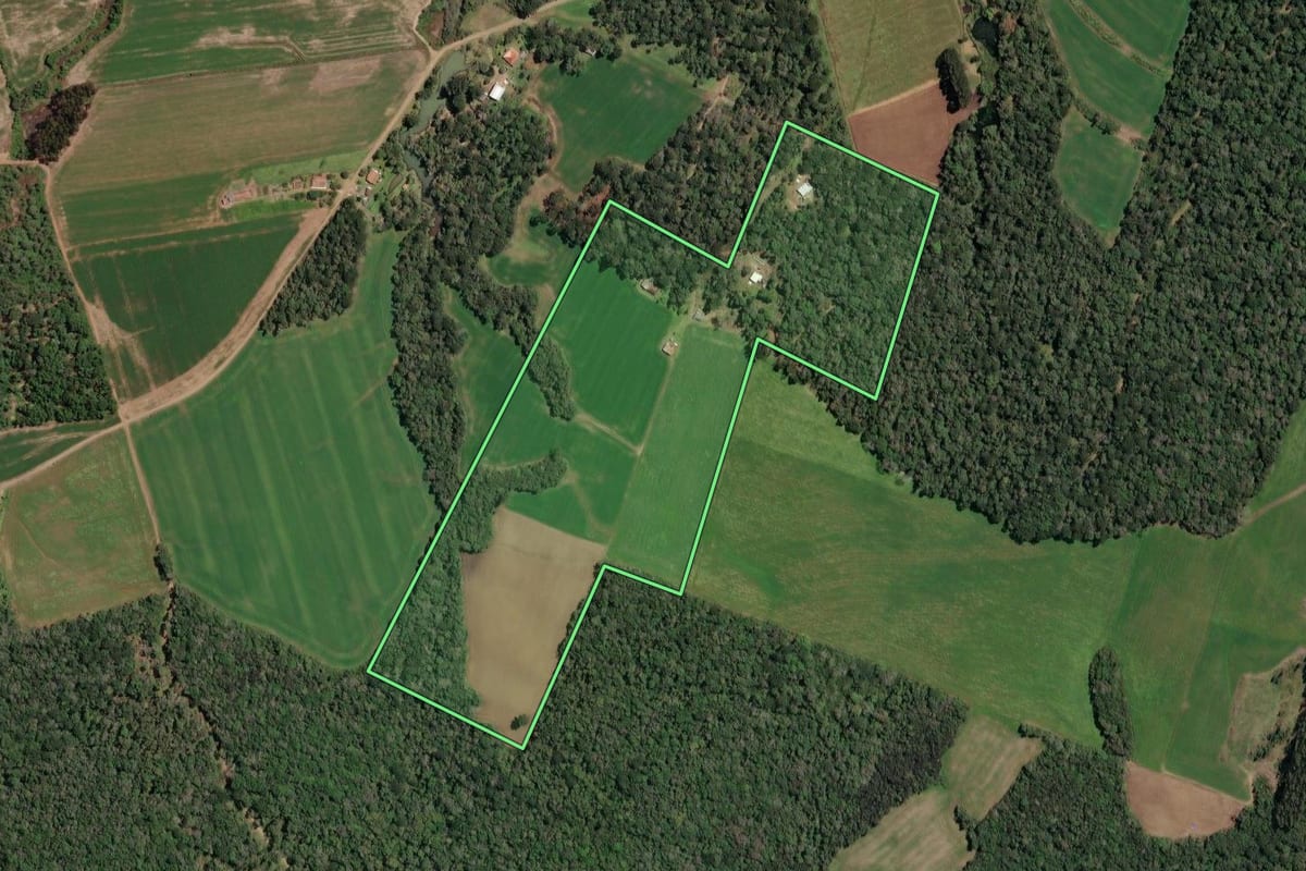 Imagem de satélite do imóvel rural em Paula Freitas (PR), com o contorno declarado no CAR desenhado por cima.