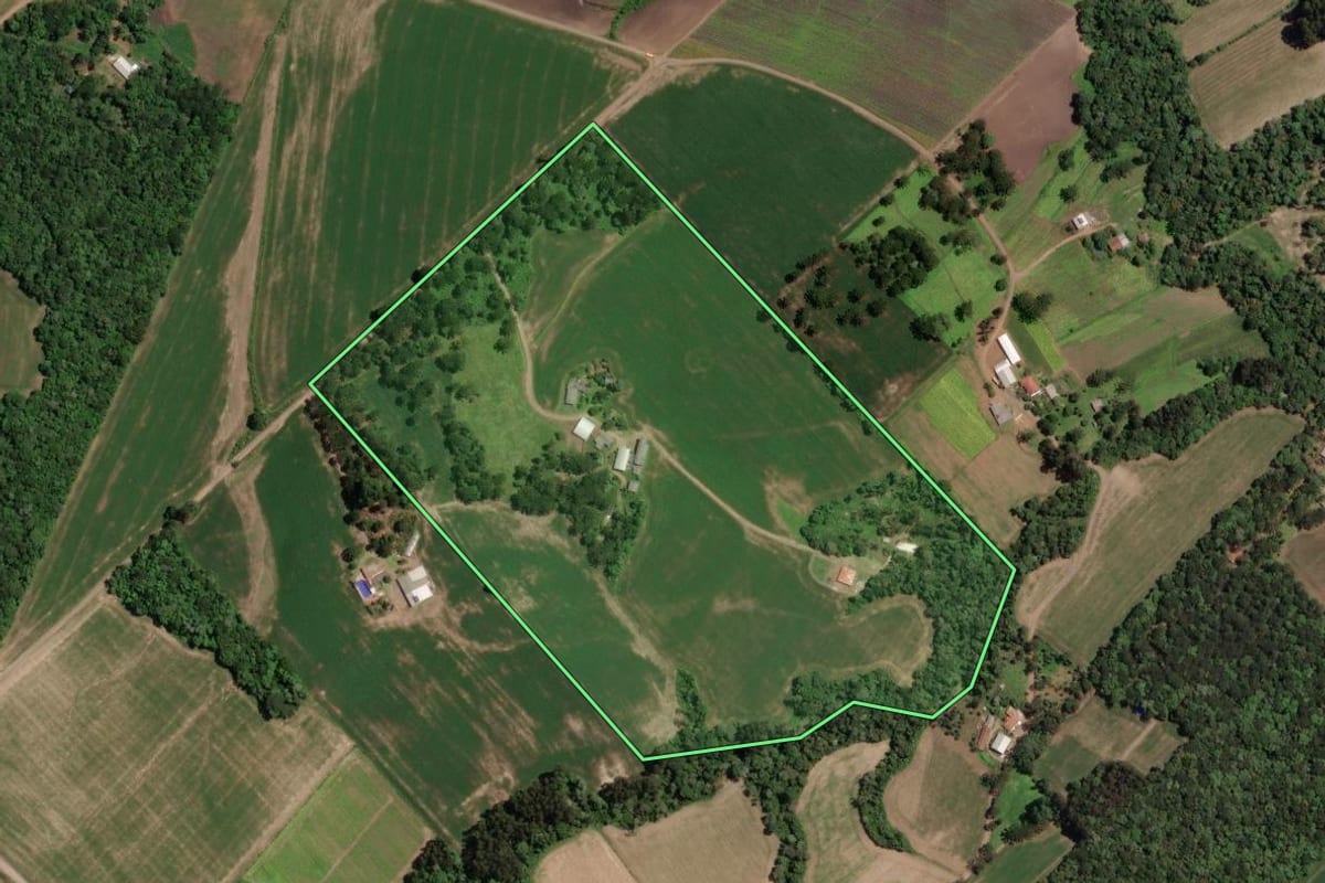 Imagem de satélite do imóvel rural em Paula Freitas (PR), com o contorno declarado no CAR desenhado por cima.