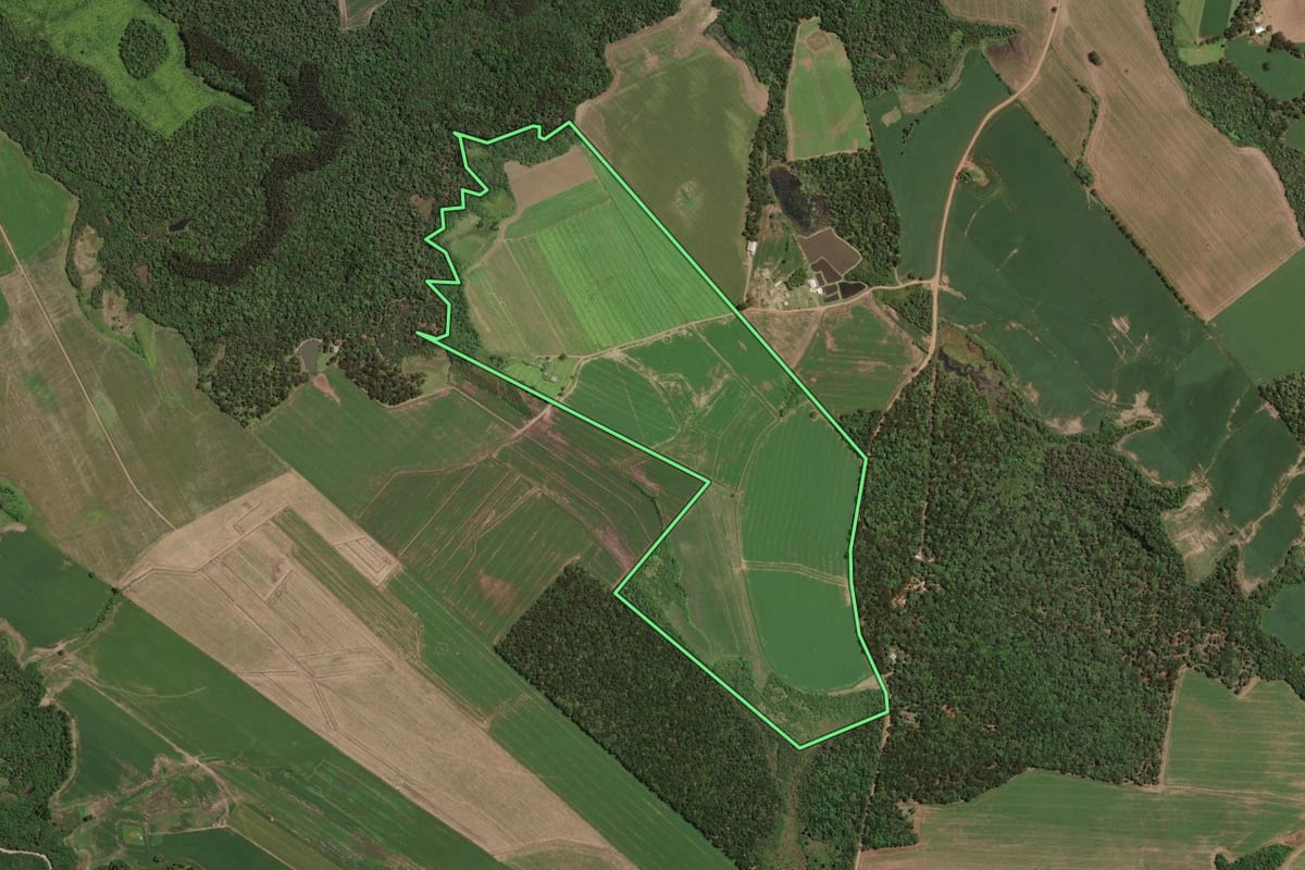 Imagem de satélite do imóvel rural em Paula Freitas (PR), com o contorno declarado no CAR desenhado por cima.