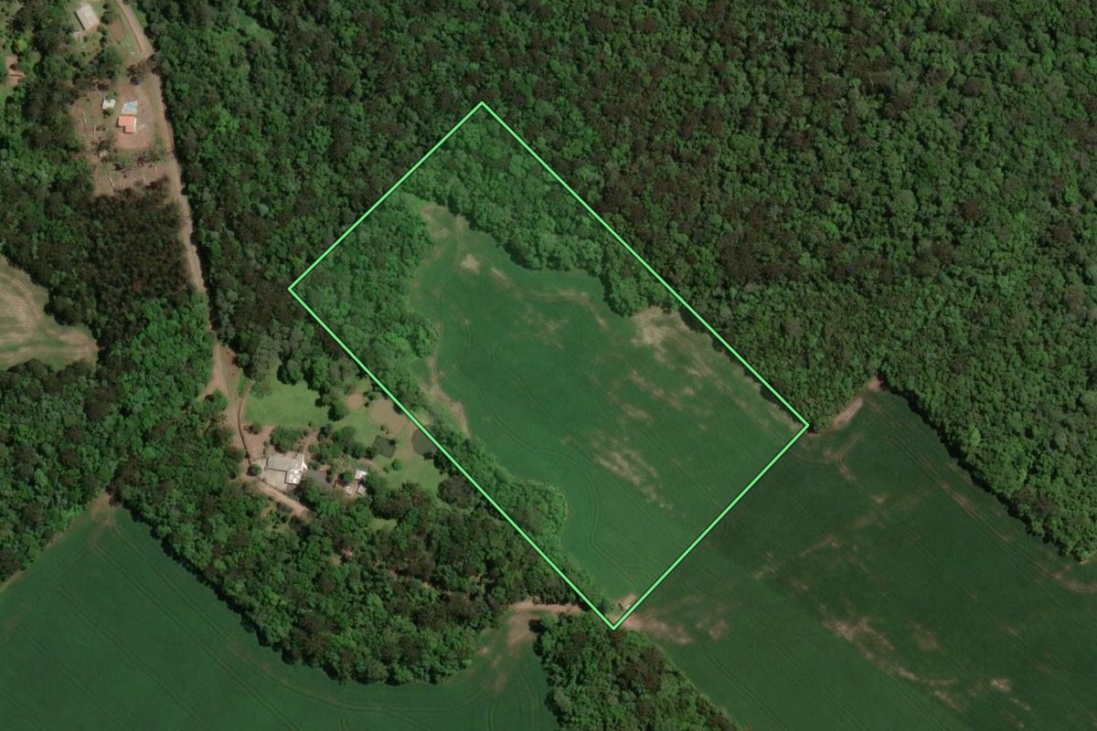 Imagem de satélite do imóvel rural em Paula Freitas (PR), com o contorno declarado no CAR desenhado por cima.