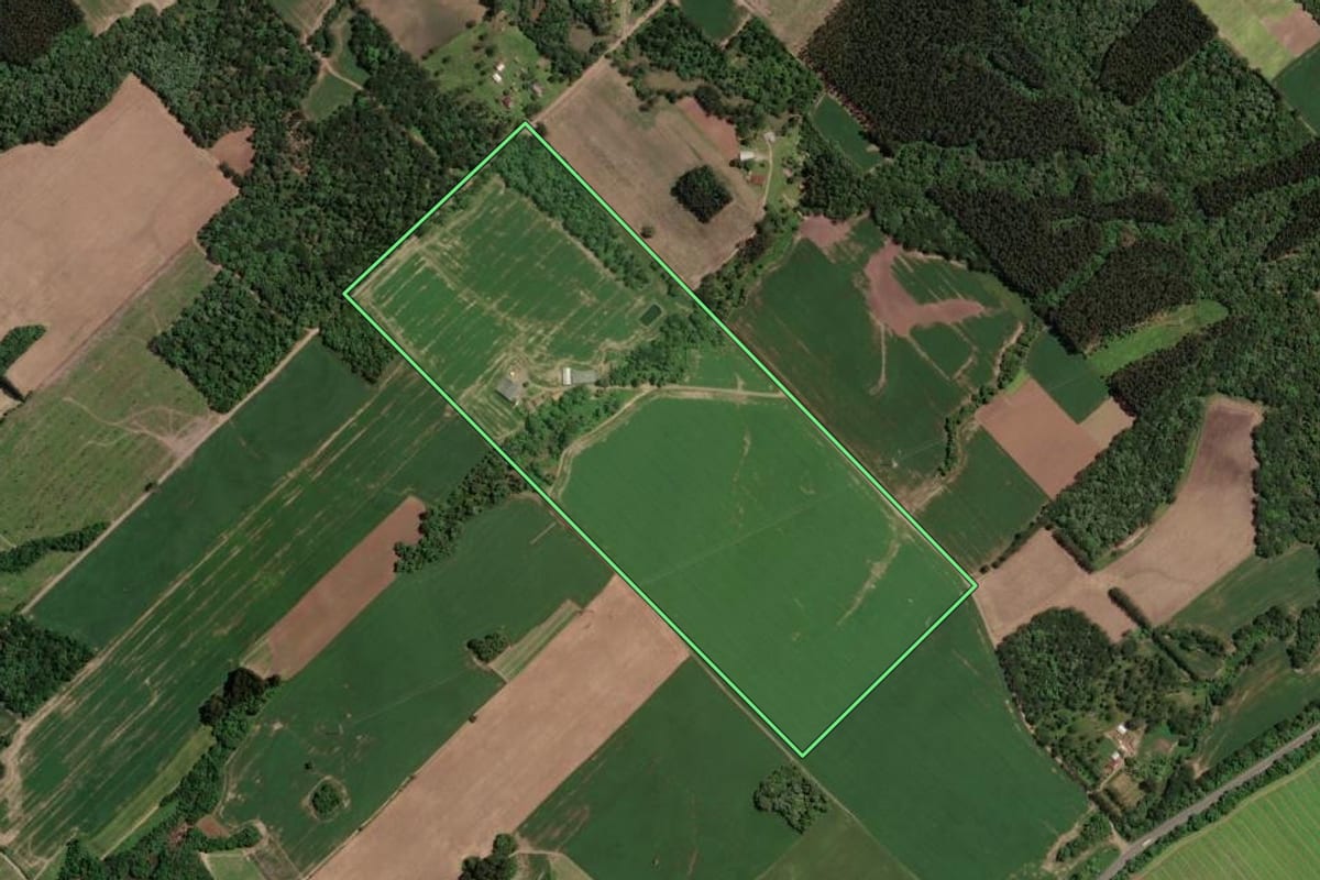 Imagem de satélite do imóvel rural em Paula Freitas (PR), com o contorno declarado no CAR desenhado por cima.