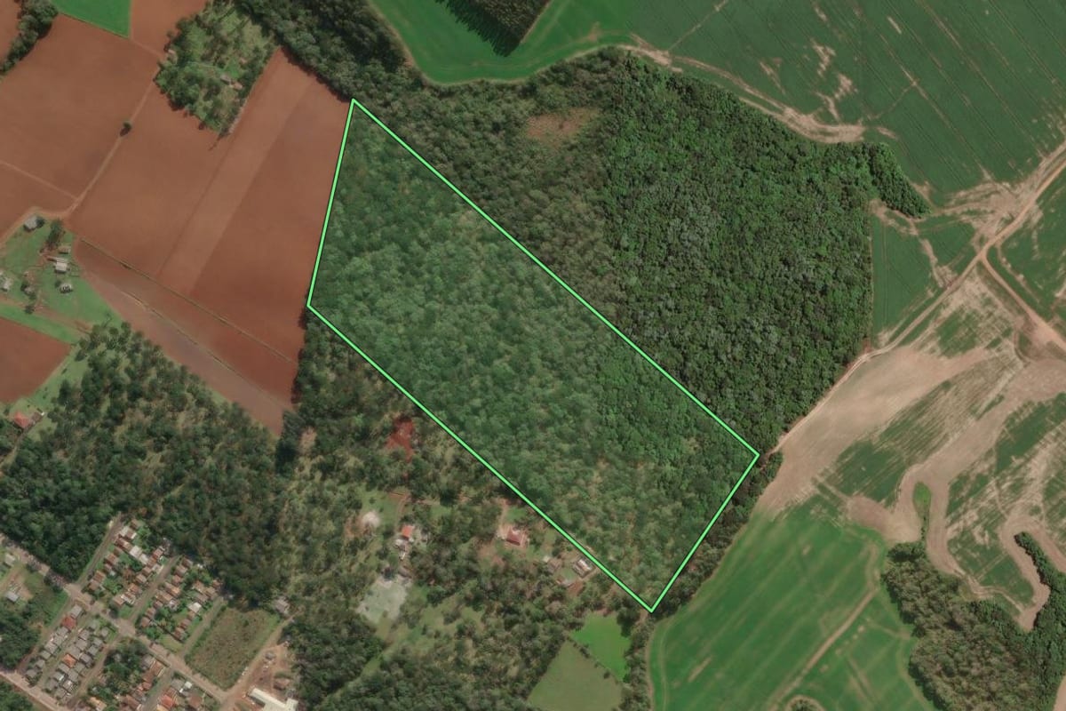 Imagem de satélite do imóvel rural em Paula Freitas (PR), com o contorno declarado no CAR desenhado por cima.