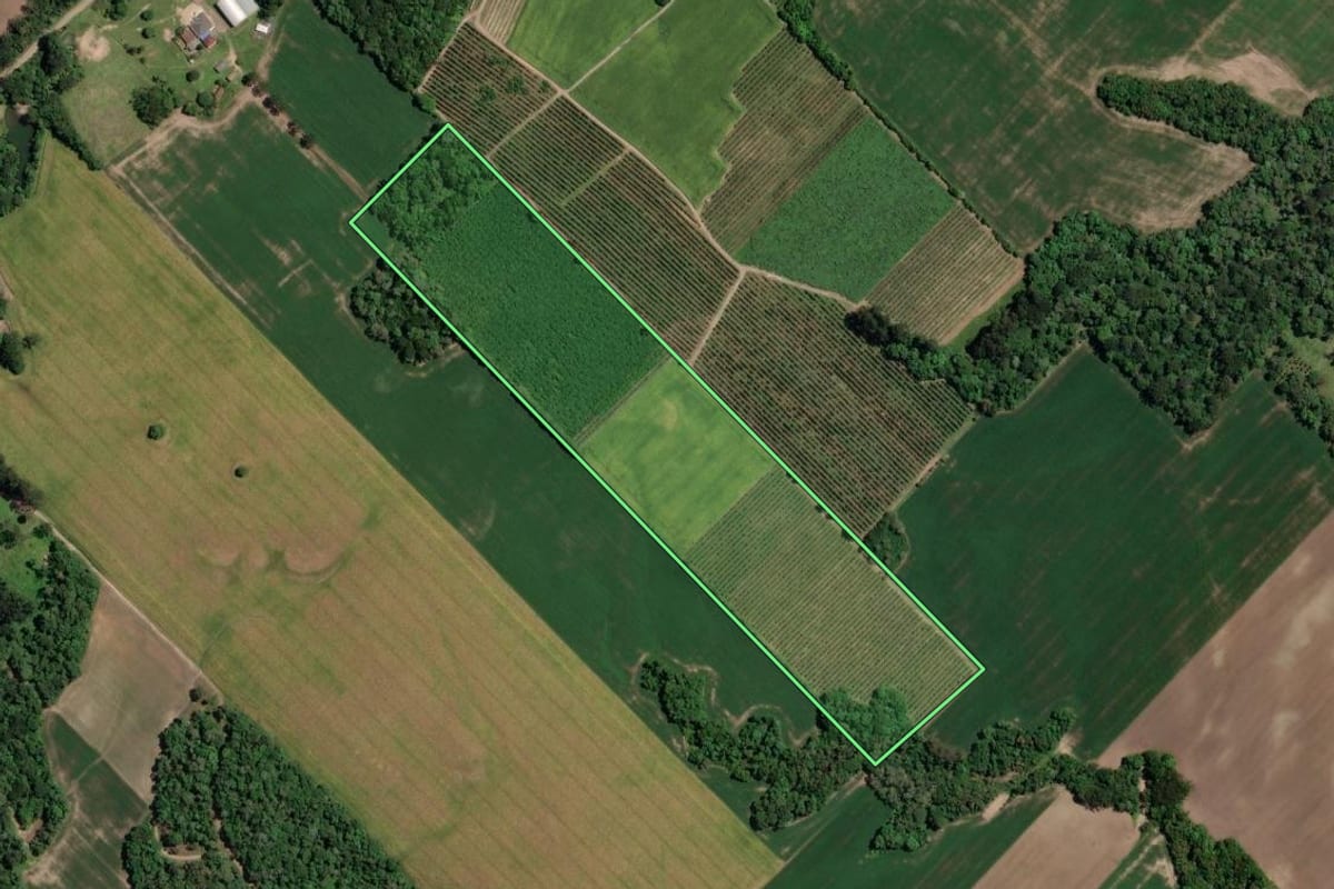Imagem de satélite do imóvel rural em Paula Freitas (PR), com o contorno declarado no CAR desenhado por cima.