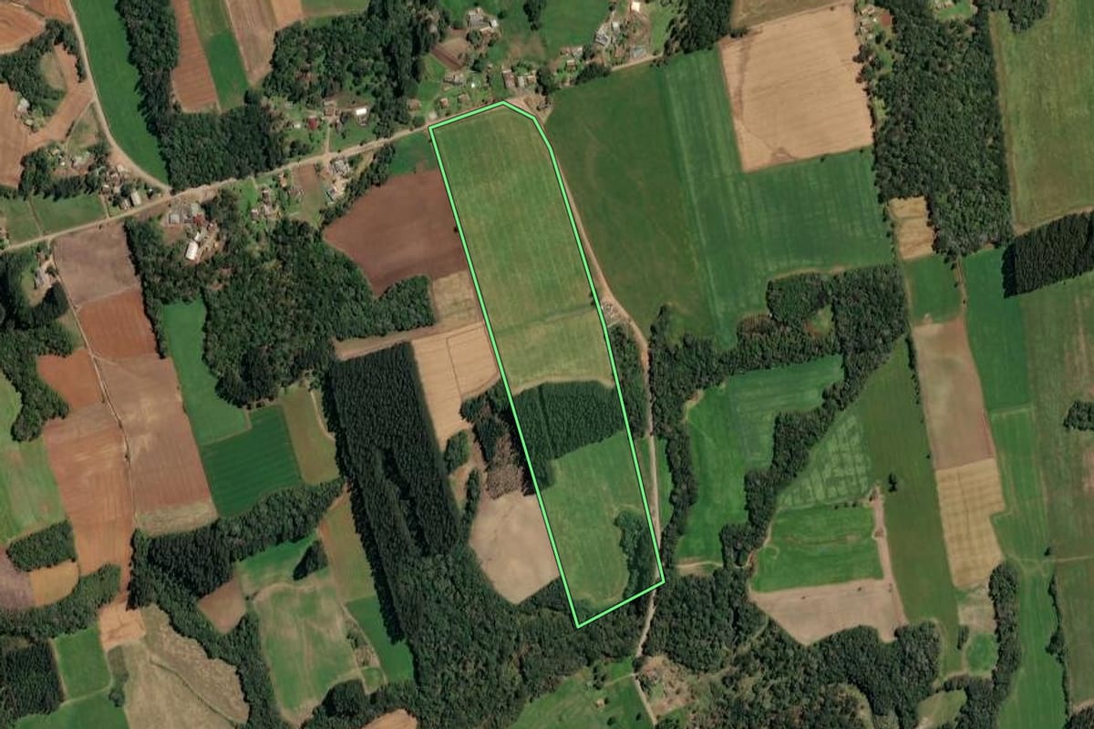 Imagem de satélite do imóvel rural em Paula Freitas (PR), com o contorno declarado no CAR desenhado por cima.