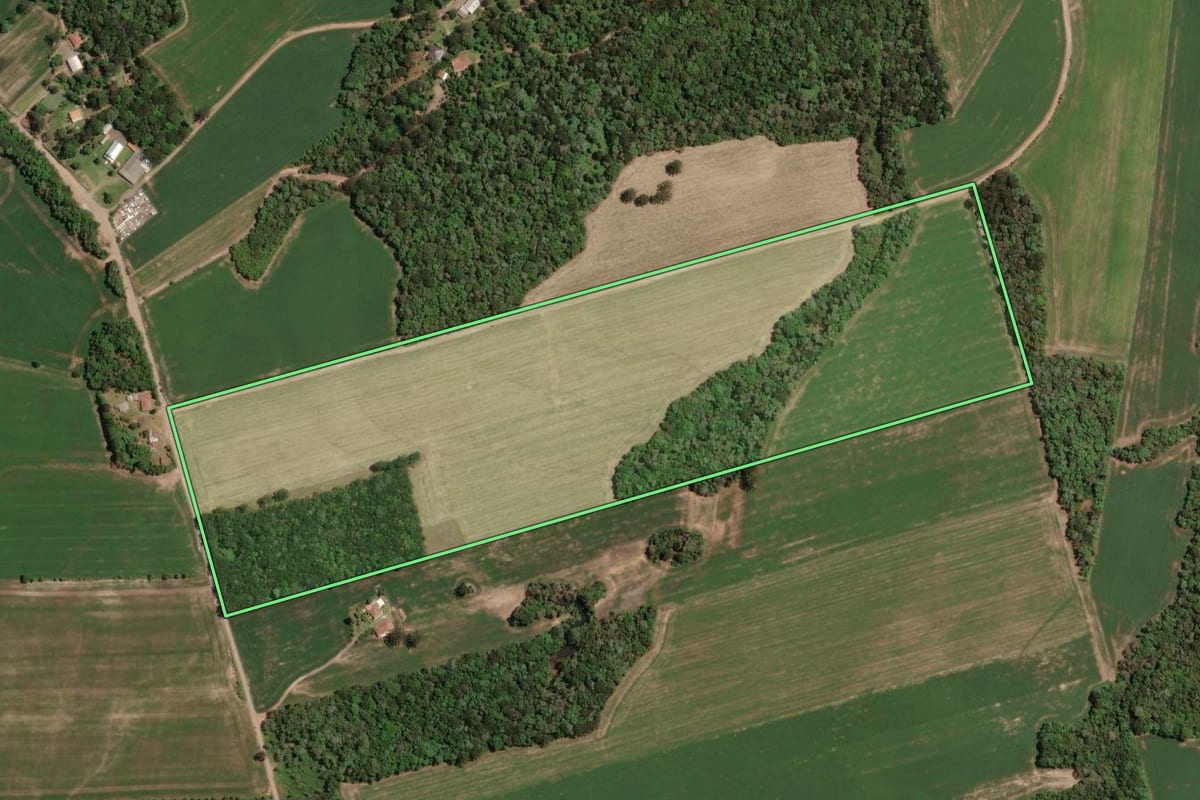 Imagem de satélite do imóvel rural em Paula Freitas (PR), com o contorno declarado no CAR desenhado por cima.