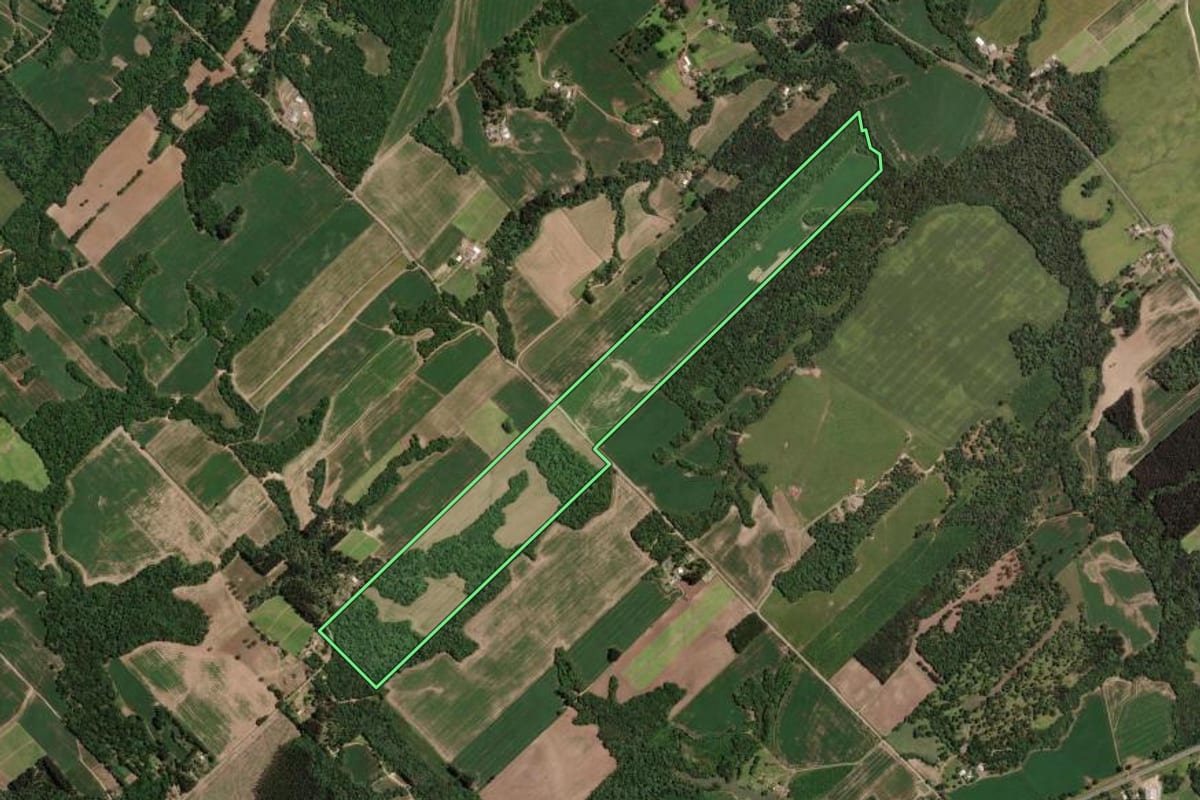 Imagem de satélite do imóvel rural em Paula Freitas (PR), com o contorno declarado no CAR desenhado por cima.