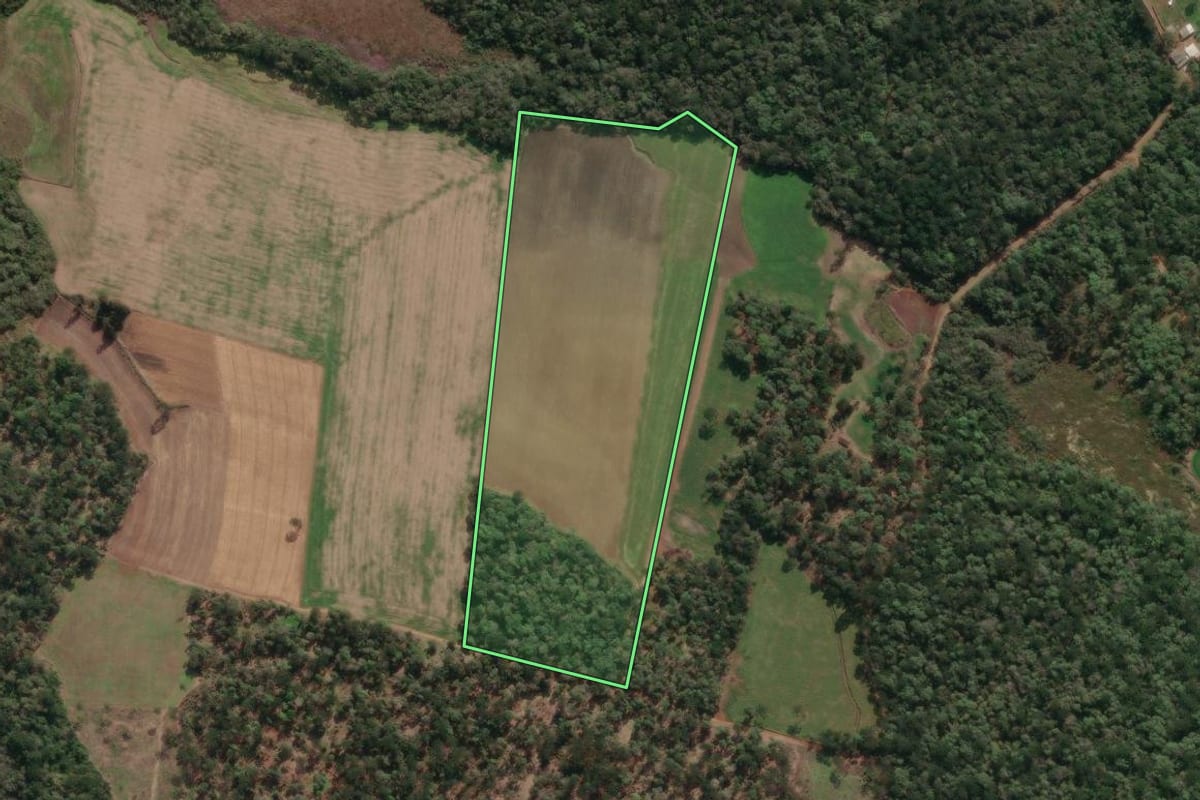 Imagem de satélite do imóvel rural em Paula Freitas (PR), com o contorno declarado no CAR desenhado por cima.