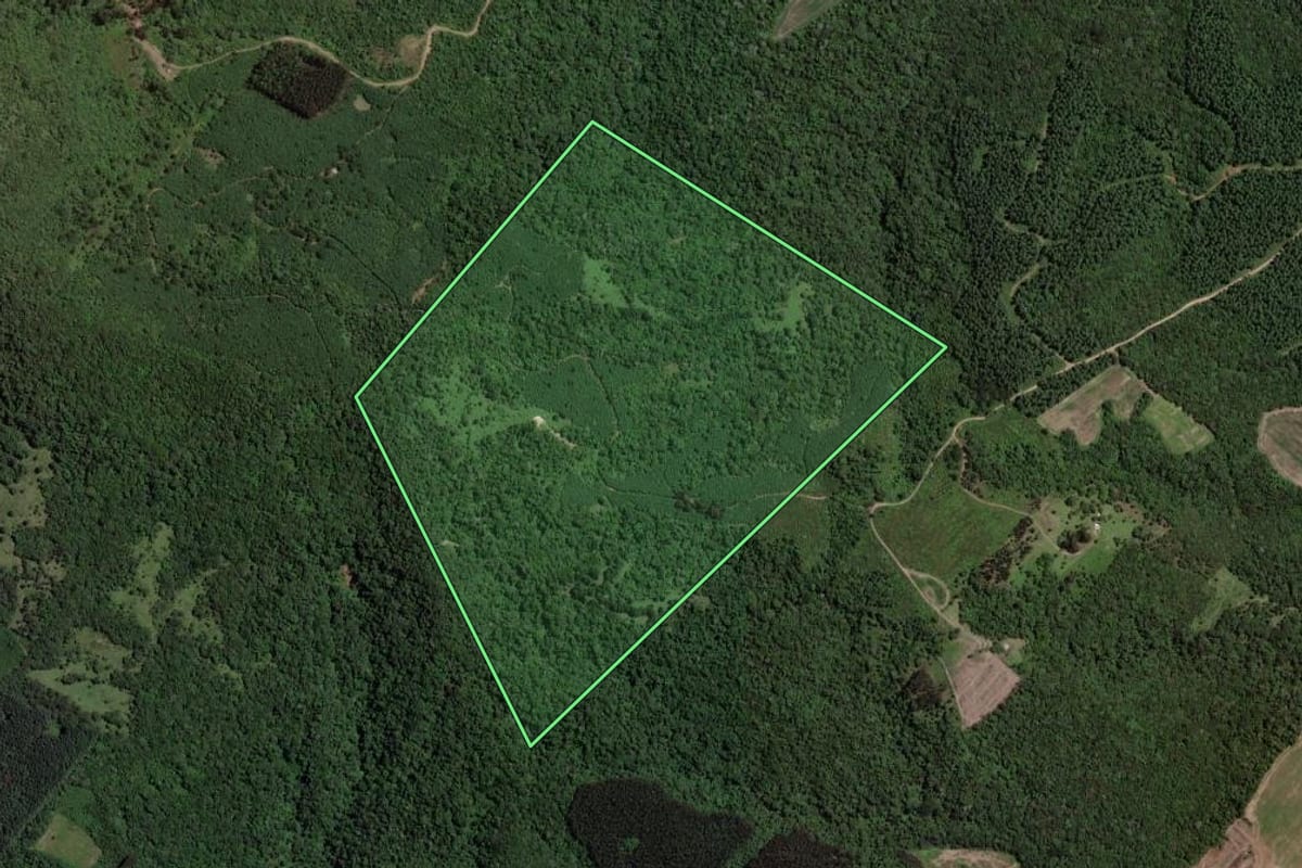Imagem de satélite do imóvel rural em Paula Freitas (PR), com o contorno declarado no CAR desenhado por cima.