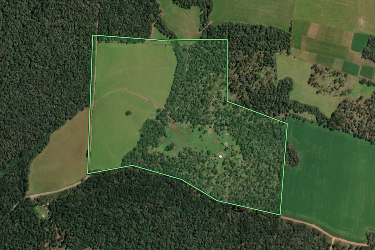Imagem de satélite do imóvel rural em Paula Freitas (PR), com o contorno declarado no CAR desenhado por cima.