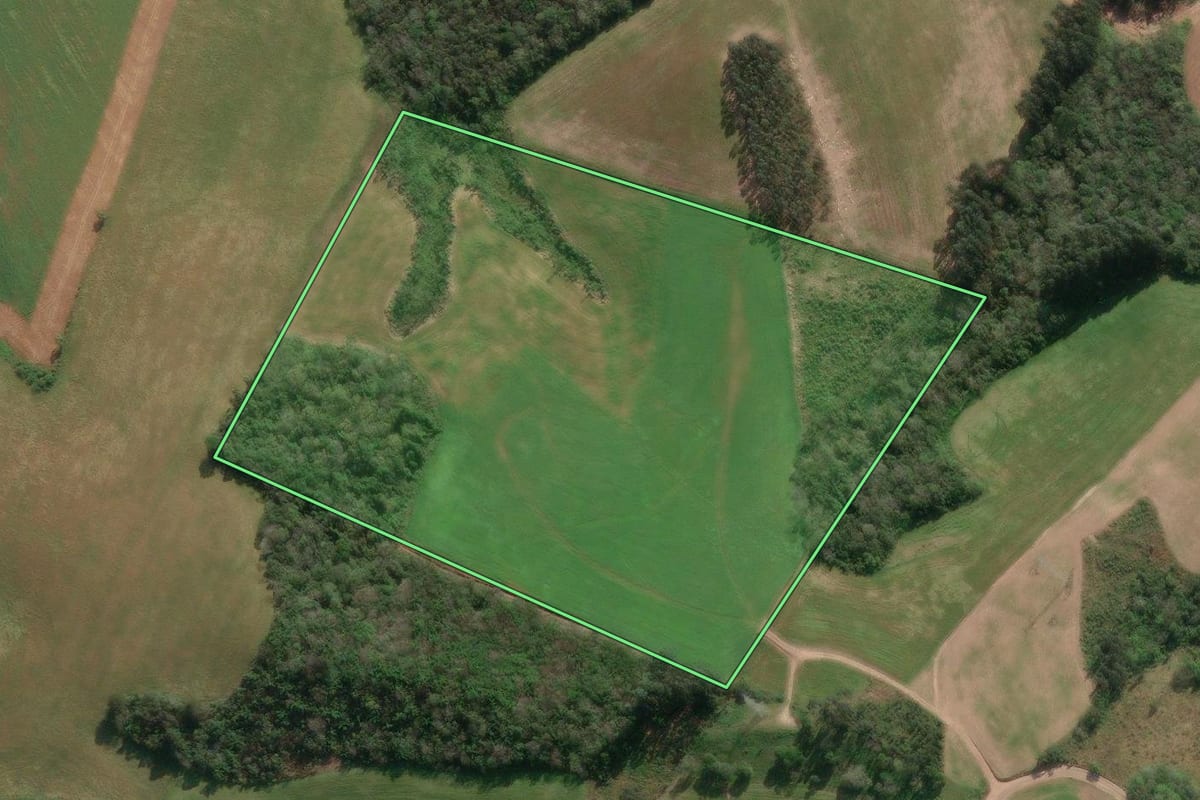 Imagem de satélite do imóvel rural em Paula Freitas (PR), com o contorno declarado no CAR desenhado por cima.