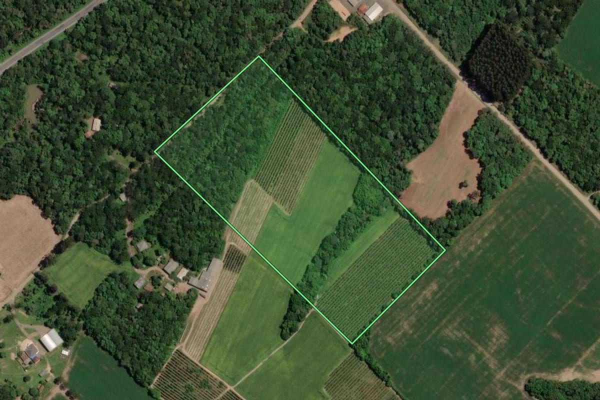 Imagem de satélite do imóvel rural em Paula Freitas (PR), com o contorno declarado no CAR desenhado por cima.